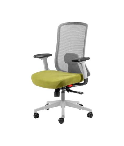 صندلی کارشناسی لئو